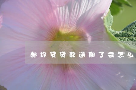 邮你贷贷款逾期了会怎么样 邮你贷贷款逾期了会怎么样