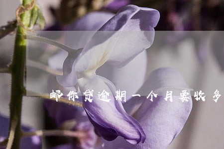邮你贷逾期一个月要收多少钱 邮你贷逾期一个月要收多少钱