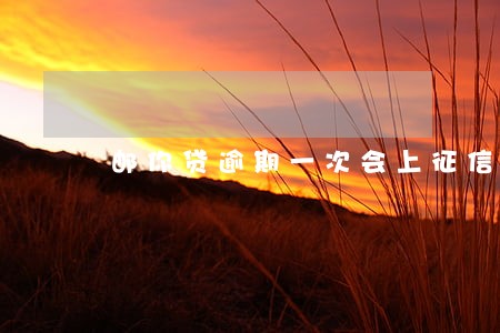 邮你贷逾期一次会上征信吗 邮你贷逾期一次会上征信吗
