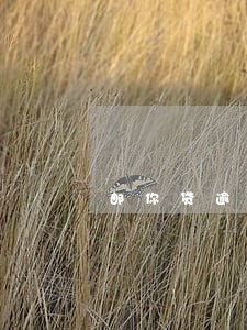 邮你贷逾期两次怎么办 邮你贷逾期两次怎么办