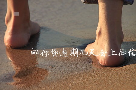 邮你贷逾期几天会上征信 邮你贷逾期几天会上征信