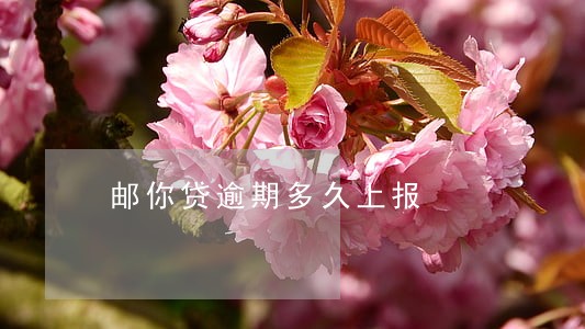 邮你贷逾期多久上报 邮你贷逾期多久上报