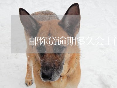 邮你贷逾期多久会上门 邮你贷逾期多久会上门
