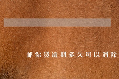 邮你贷逾期多久可以消除 邮你贷逾期多久可以消除
