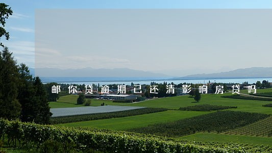 邮你贷逾期已还清影响房贷吗 邮你贷逾期已还清影响房贷吗