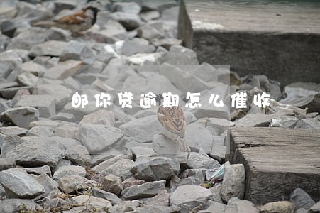 邮你贷逾期怎么催收 邮你贷逾期怎么催收