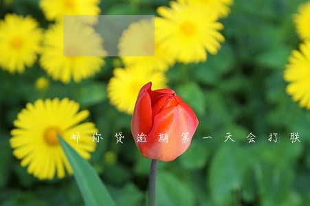 邮你贷逾期第一天会打联系人吗 邮你贷逾期第一天会打联系人吗