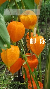 邮你贷逾期给我发诉前通知函 邮你贷逾期给我发诉前通知函