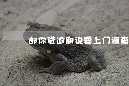 邮你贷逾期说要上门调查 邮你贷逾期说要上门调查