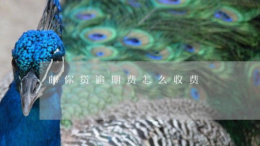 邮你贷逾期费怎么收费 邮你贷逾期费怎么收费