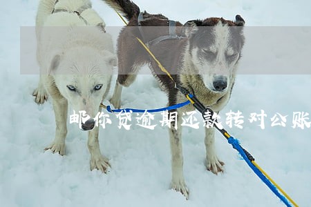邮你贷逾期还款转对公账户 邮你贷逾期还款转对公账户