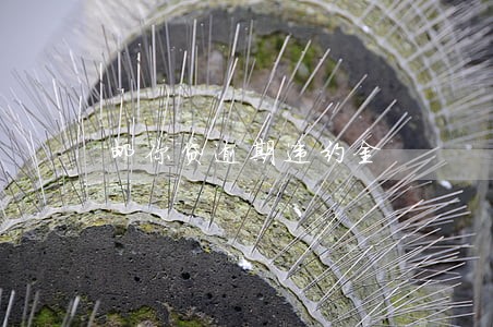 邮你贷逾期违约金 邮你贷逾期违约金