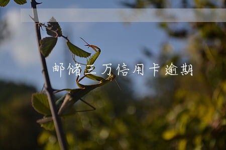 邮储三万信用卡逾期 邮储三万信用卡逾期