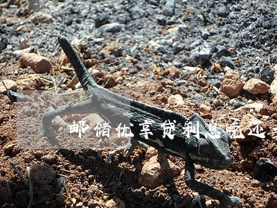 邮储优享贷利息晚还一天算逾期吗 邮储优享贷利息晚还一天算逾期吗