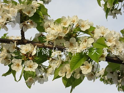 邮储信用卡两天算逾期吗