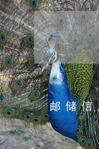 邮储信用卡晚还一天有逾期费吗 邮储信用卡晚还一天有逾期费吗