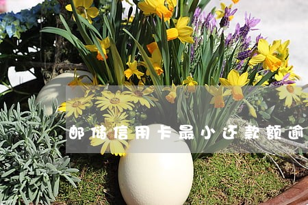 邮储信用卡最小还款额逾期 邮储信用卡最小还款额逾期