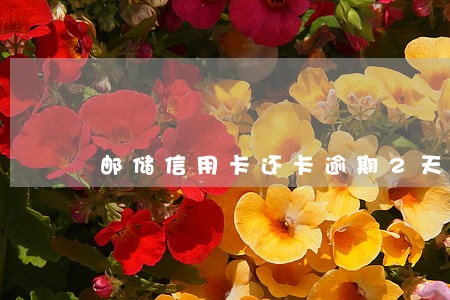 邮储信用卡还卡逾期2天 邮储信用卡还卡逾期2天