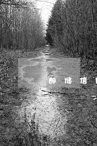 邮储信用卡还款还1天还算逾期吗 邮储信用卡还款还1天还算逾期吗