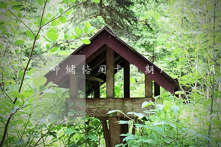 邮储信用卡逾期10个月 邮储信用卡逾期10个月