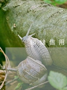 邮储信用卡逾期1天