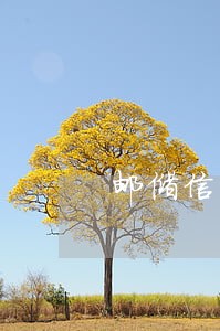 邮储信用卡逾期1天有利息吗 邮储信用卡逾期1天有利息吗