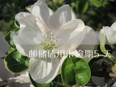 邮储信用卡逾期5天 邮储信用卡逾期5天