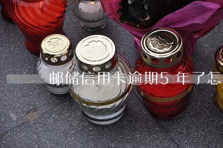 邮储信用卡逾期5年了怎么查 邮储信用卡逾期5年了怎么查