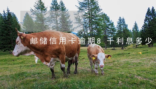 邮储信用卡逾期8千利息多少 邮储信用卡逾期8千利息多少