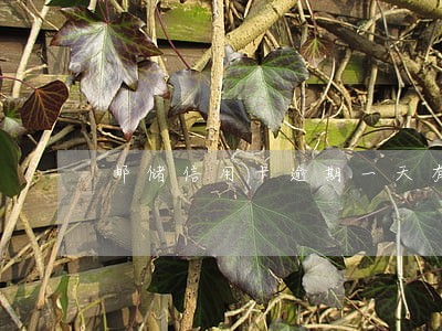 邮储信用卡逾期一天有多少利息