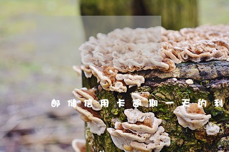 邮储信用卡逾期一天的利息 邮储信用卡逾期一天的利息