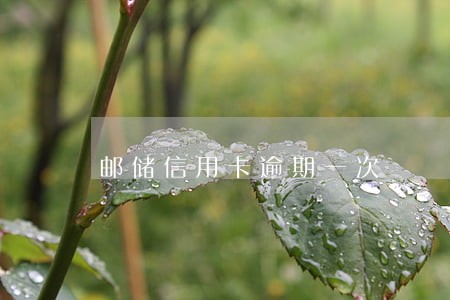 邮储信用卡逾期一次 邮储信用卡逾期一次