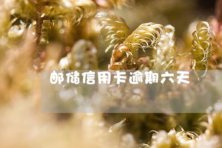 邮储信用卡逾期六天 邮储信用卡逾期六天