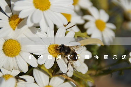 邮储信用卡逾期协商只还本金 邮储信用卡逾期协商只还本金