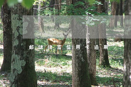 邮储储蓄信用卡逾期 邮储储蓄信用卡逾期