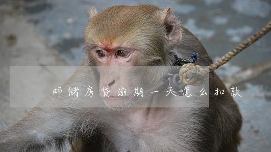 邮储房贷逾期一天怎么扣款 邮储房贷逾期一天怎么扣款