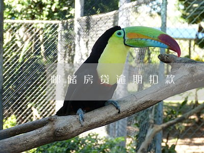 邮储房贷逾期扣款 邮储房贷逾期扣款