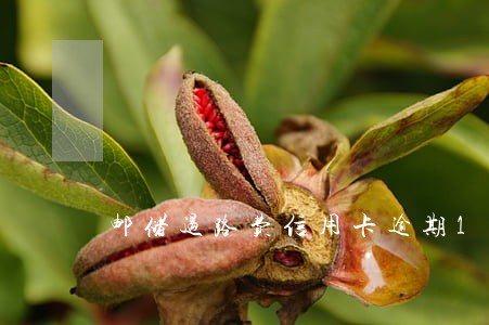 邮储过路费信用卡逾期1天 邮储过路费信用卡逾期1天