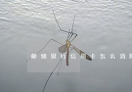 邮储银行信用卡怎么消除逾期 邮储银行信用卡怎么消除逾期