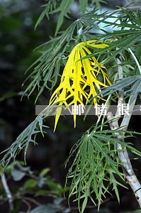 邮储银行信用卡清除逾期 邮储银行信用卡清除逾期