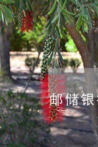 邮储银行信用卡还款逾期一天 邮储银行信用卡还款逾期一天