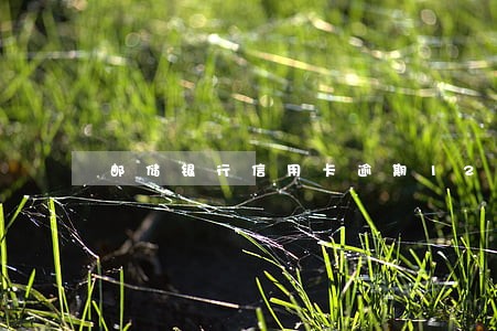 邮储银行信用卡逾期12元 邮储银行信用卡逾期12元