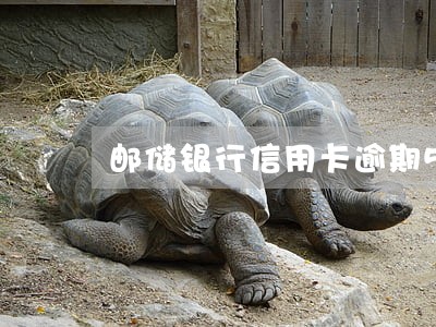 邮储银行信用卡逾期5000