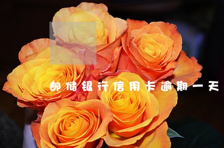 邮储银行信用卡逾期一天6