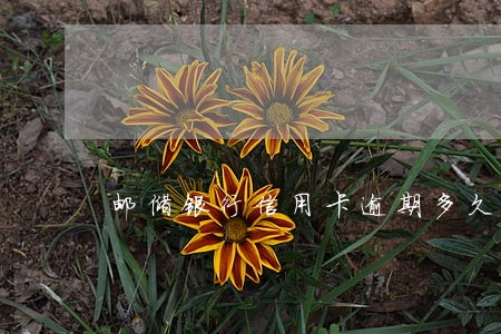 邮储银行信用卡逾期多久 邮储银行信用卡逾期多久