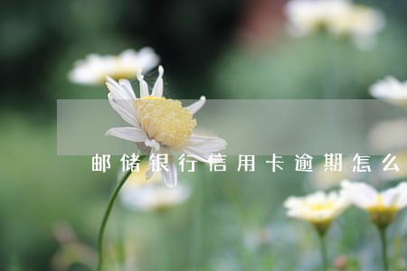 邮储银行信用卡逾期怎么办 邮储银行信用卡逾期怎么办