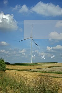 邮储银行信用卡逾期怎么还款 邮储银行信用卡逾期怎么还款