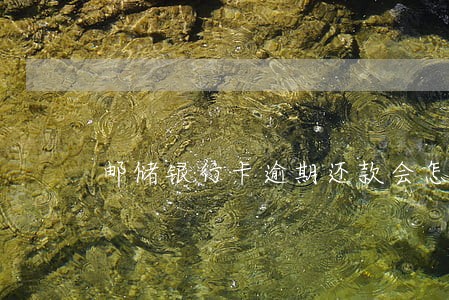 邮储银行卡逾期还款会怎样 邮储银行卡逾期还款会怎样