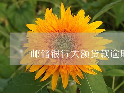 邮储银行大额贷款逾期 邮储银行大额贷款逾期