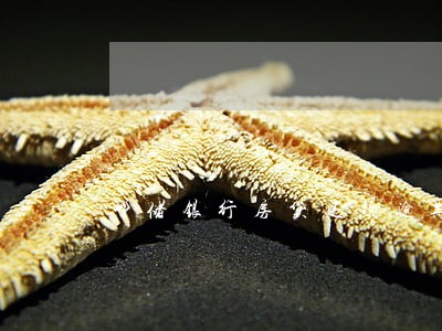 邮储银行房贷还款逾期